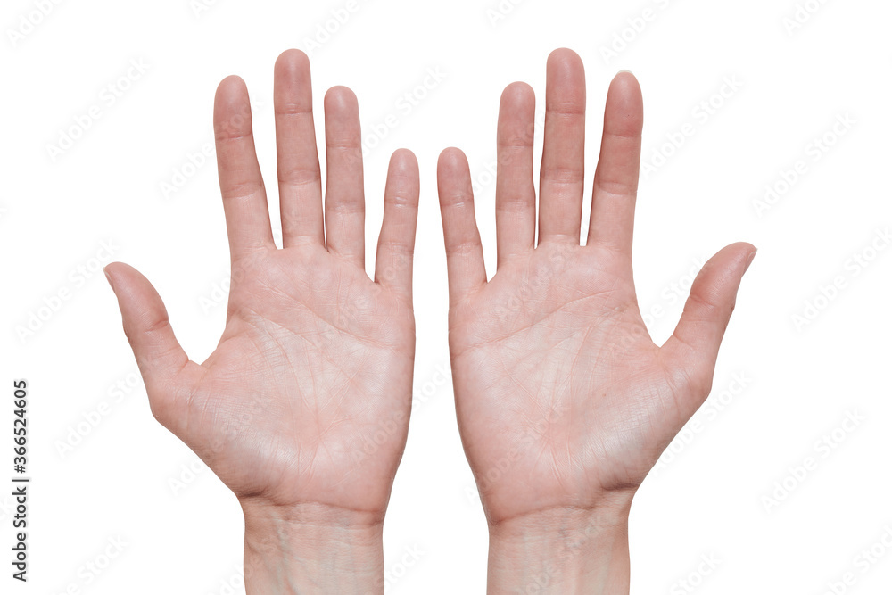 Handmodel zwei Hände berühren sich für Kosmetik freigestellt auf Weiß. Handmodel zwei Hände berühren sich für Kosmetik freigestellt auf Weiß.