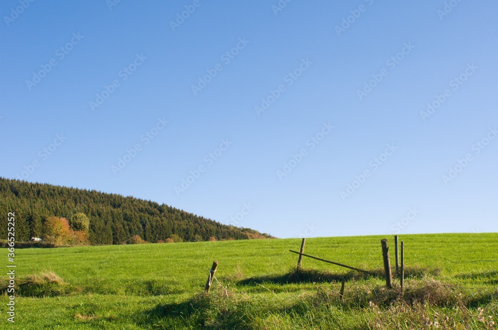 Obraz na plátně Eifel