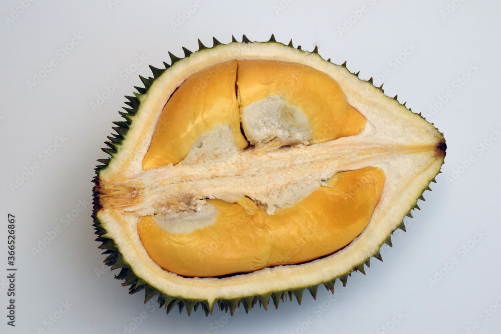 Fototapeta premium Durian on a white background