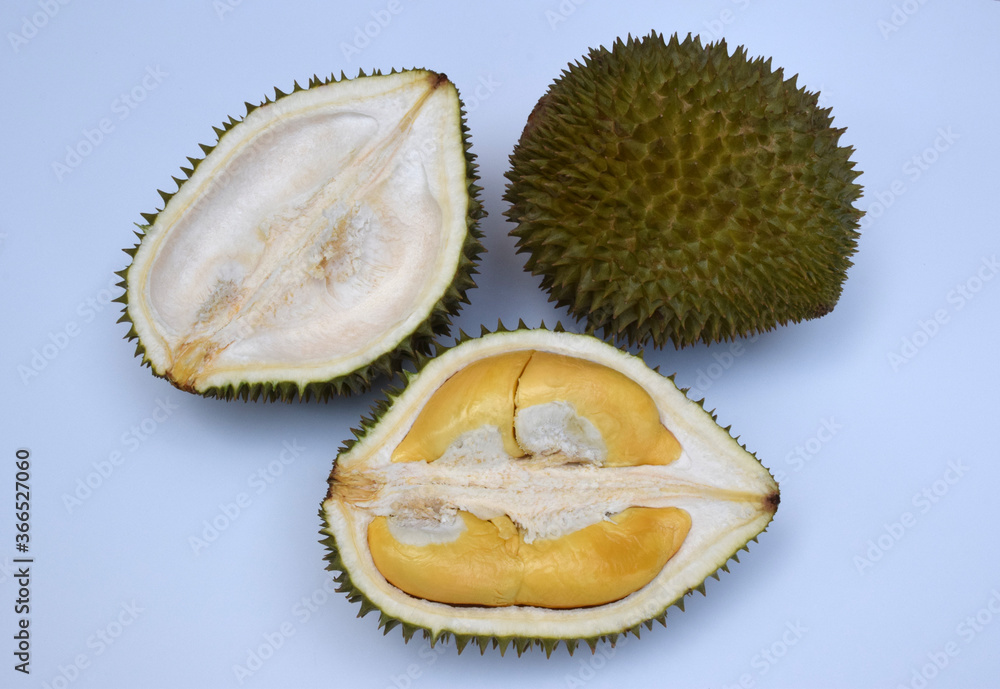 Fototapeta premium Durian on a white background