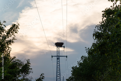 Stork neston electrisity pole or hight voltage tower. Silhouette shot by dawn on sunset sky background. Spring nestlings, birdwatching, new life concept. photo