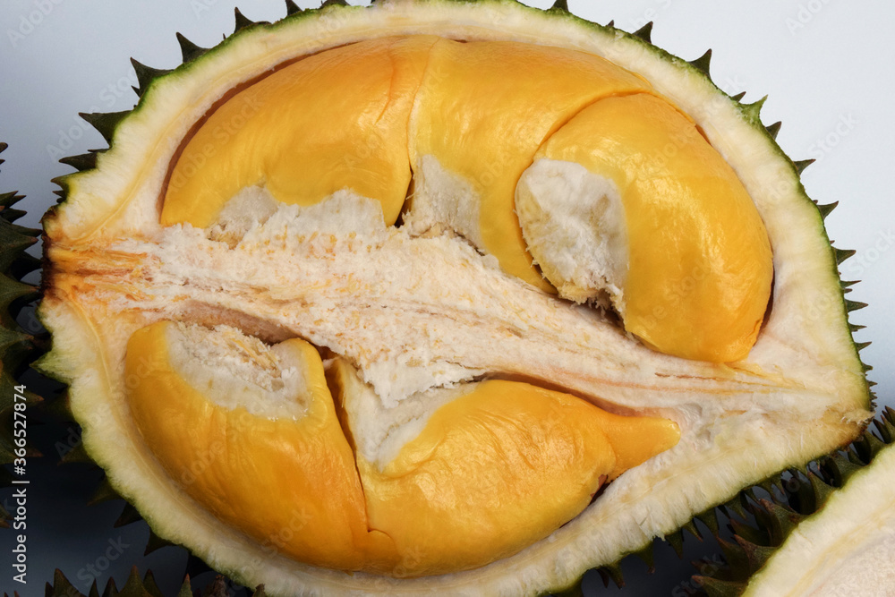 Durian on a white background Durian on a white background