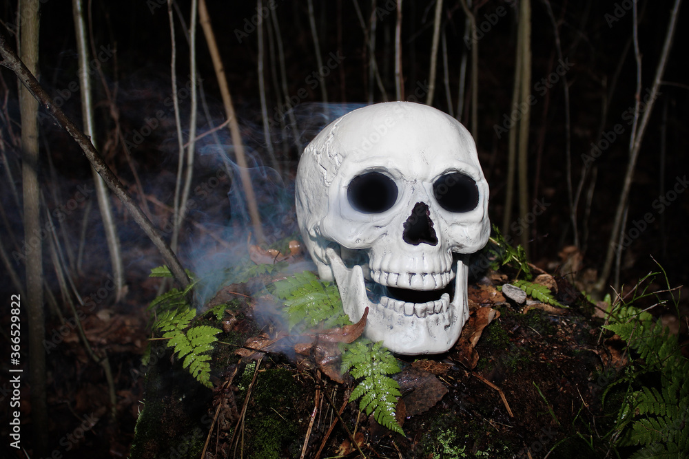 Grinning white human skull with blue smoke around on wet ground with plants