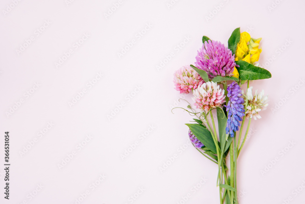 Flat lay of miniature wildflowers on pink background, copyspace for summer and wedding design. Boutonniere from clover and mouse pease