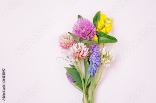 Flat lay of miniature wildflowers on pink paper background, copyspace for summer and wedding design. Boutonniere from clover and mouse pease