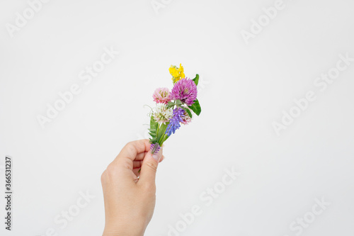 Small bouquet of miniature wildflowers in hand on white background, copyspace for summer and wedding design. Boutonniere from clover and mouse pease