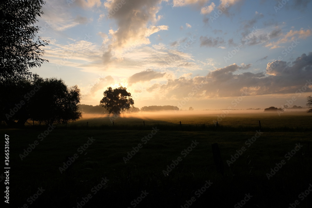 Fluss im Nebel