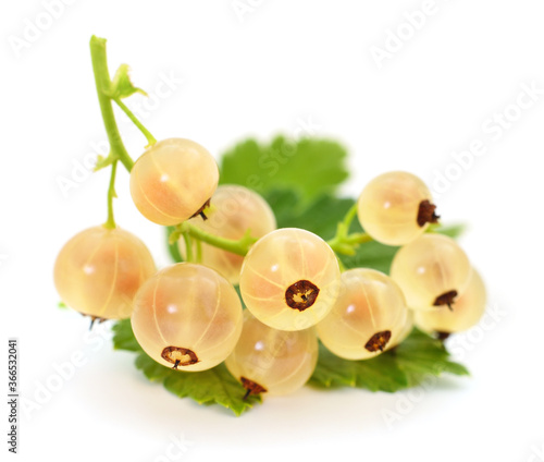 White currants with green leaves.