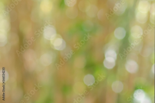 Blurry spots of leaves and glare from the sun on them. Background from green and shades of green, yellow, white and beige defocused circles. Hexagon bokeh in soft pastel shades of green for summer