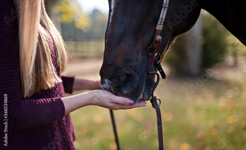 girl and horse in fall