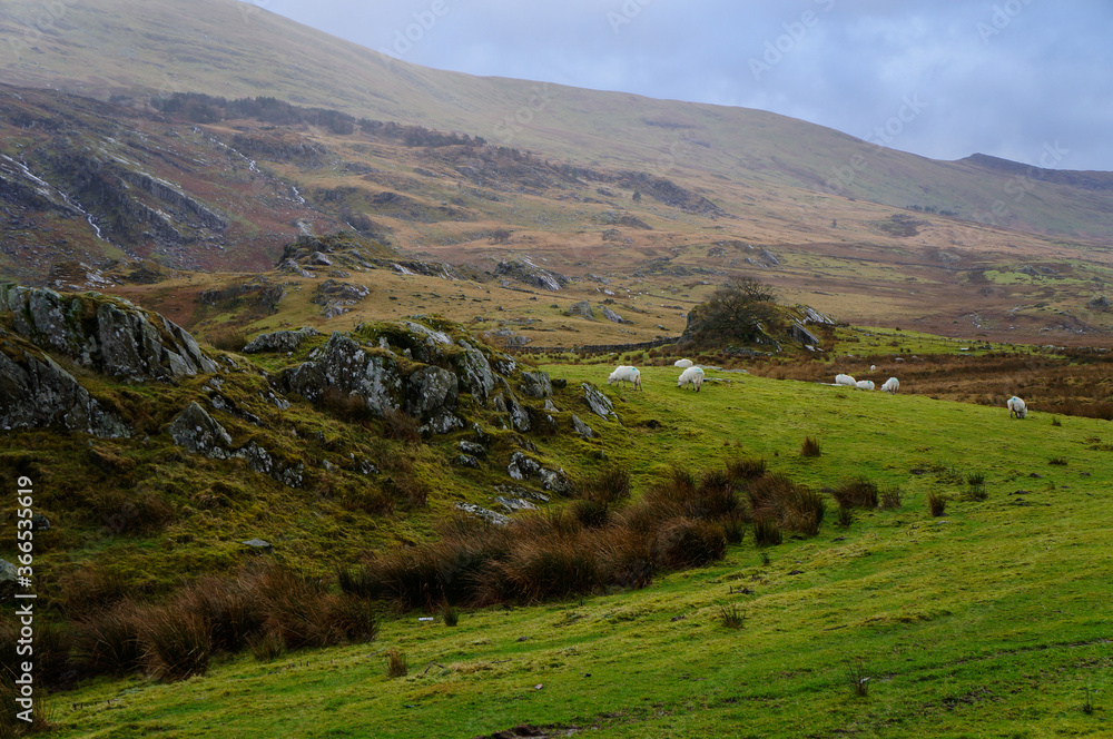 Snowdonia national park landscape, Wales Snowdonia national park landscape, Wales