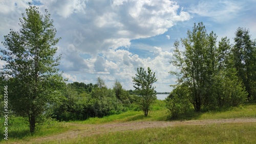 path among the greenery of grass and trees on a background of blue sky with clouds