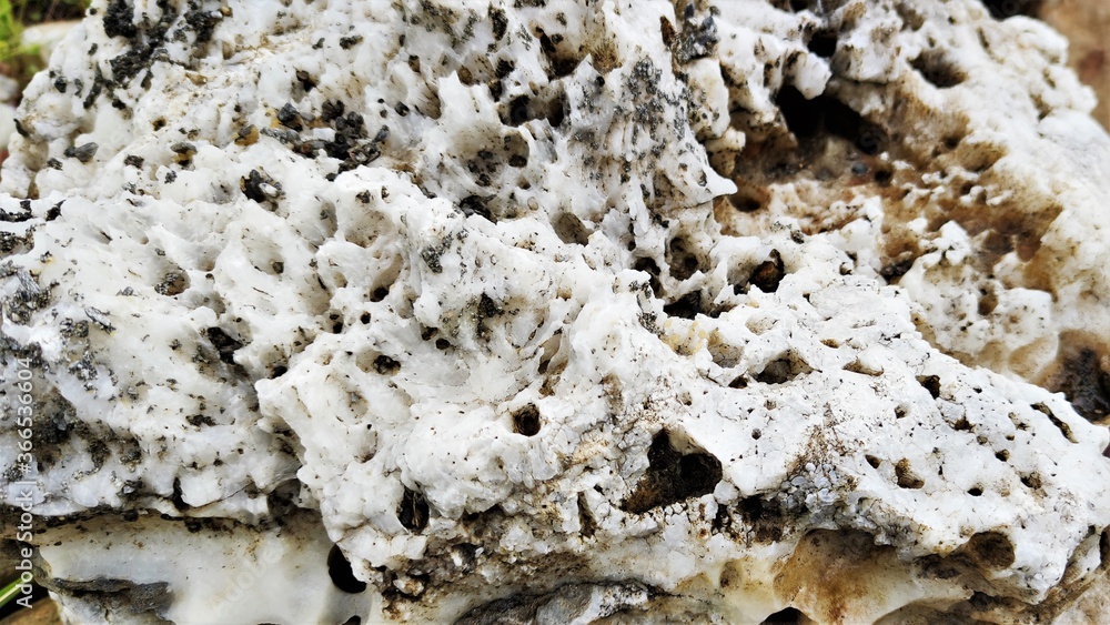 Photo of texture of rock Photo of texture of rock