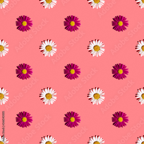 Fototapeta Naklejka Na Ścianę i Meble -  White and pink daisies on a pink background with hard shadows, flat flat, top view, seamless texture. Bright seamless summer background for fabric or greeting card. Flower pattern, design