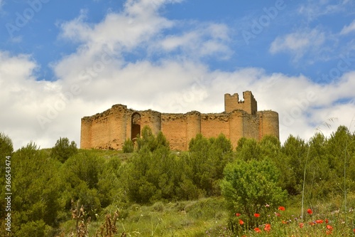 Side view of Castillo de Davalillo with pine trees planted on the mountainside.