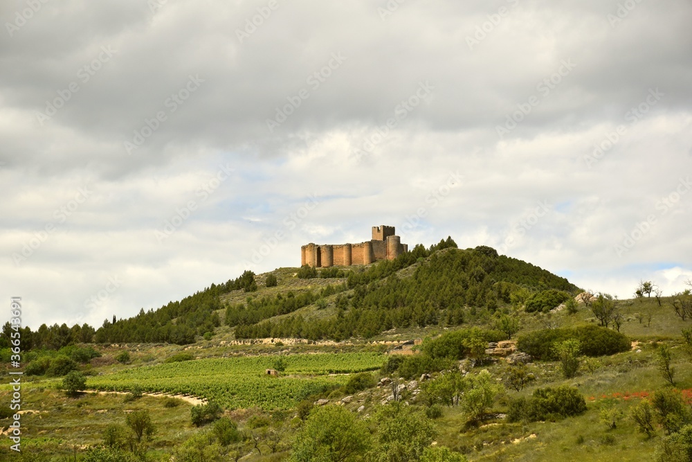 View of the Davalillo Castle from afar.