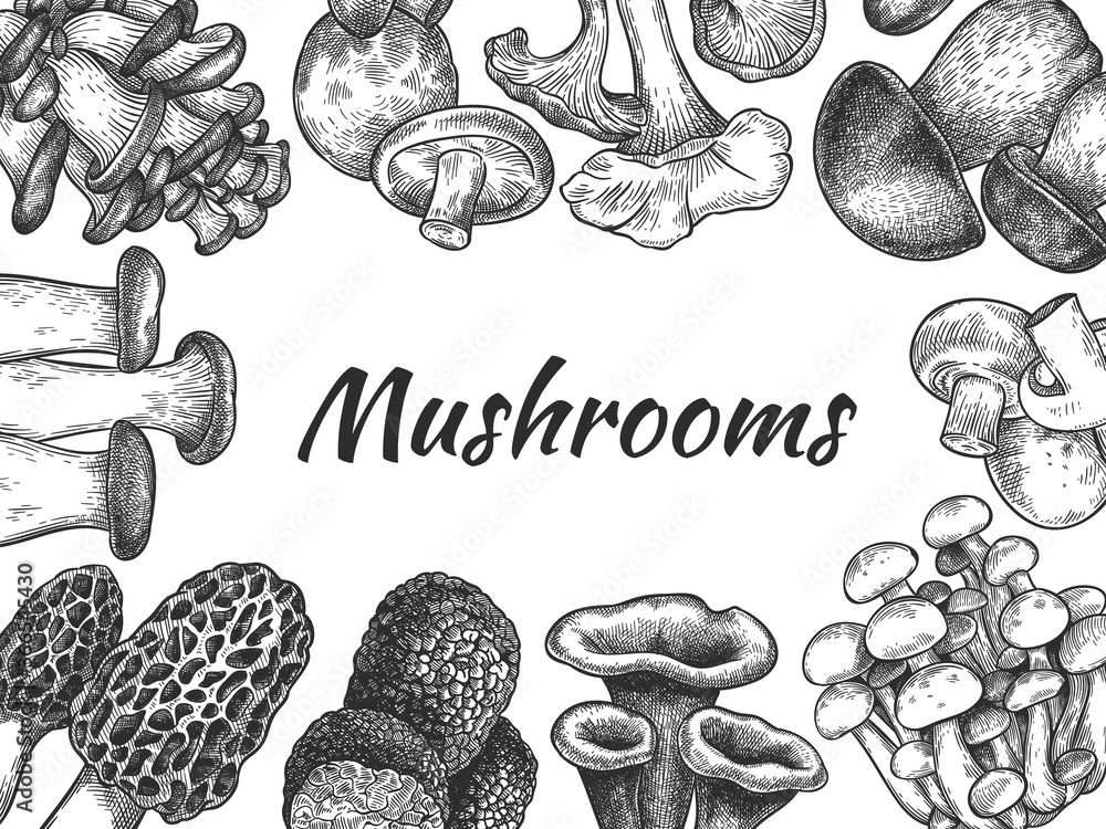 Obraz na plátně Mushrooms