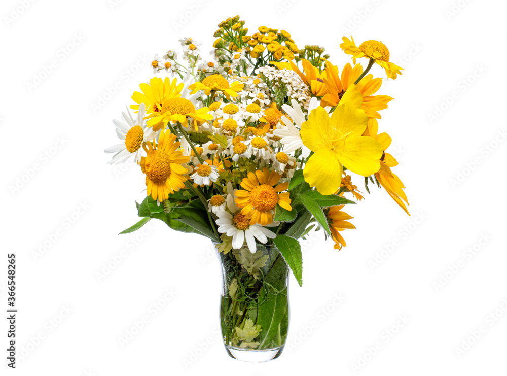 Bouquet of wild flowers in a glass vase on a white background