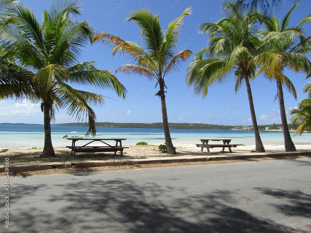 Fototapeta premium tropical beach with palm trees