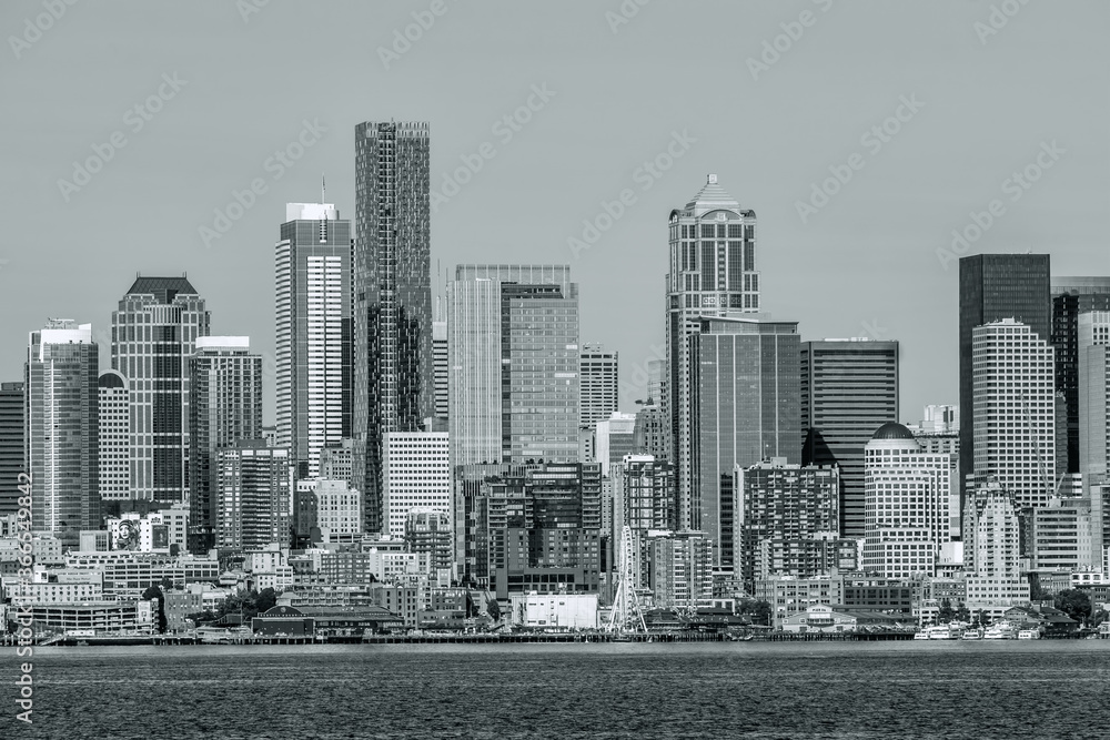 Scenic Seattle Skyline Section 2