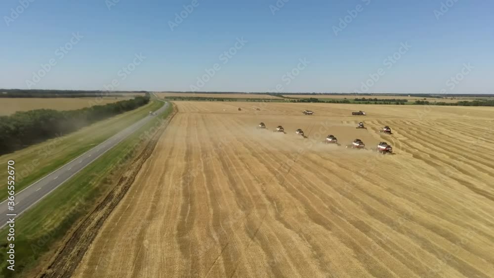 Aerial view of wheat harvest. Drone shot flying over combine harvesters working on wheat field. B-roll footage Aerial view of wheat harvest. Drone shot flying over combine harvesters working on wheat field. B-roll footage