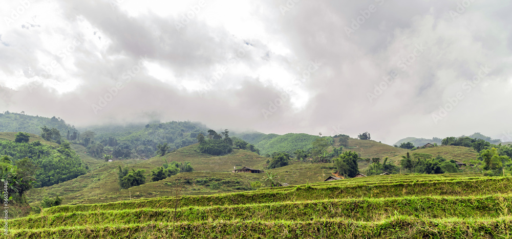 Rice terraces panoramic view to the Wheat crop field Landscape