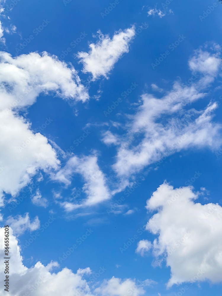 Fototapeta premium Schäfchenwolken
