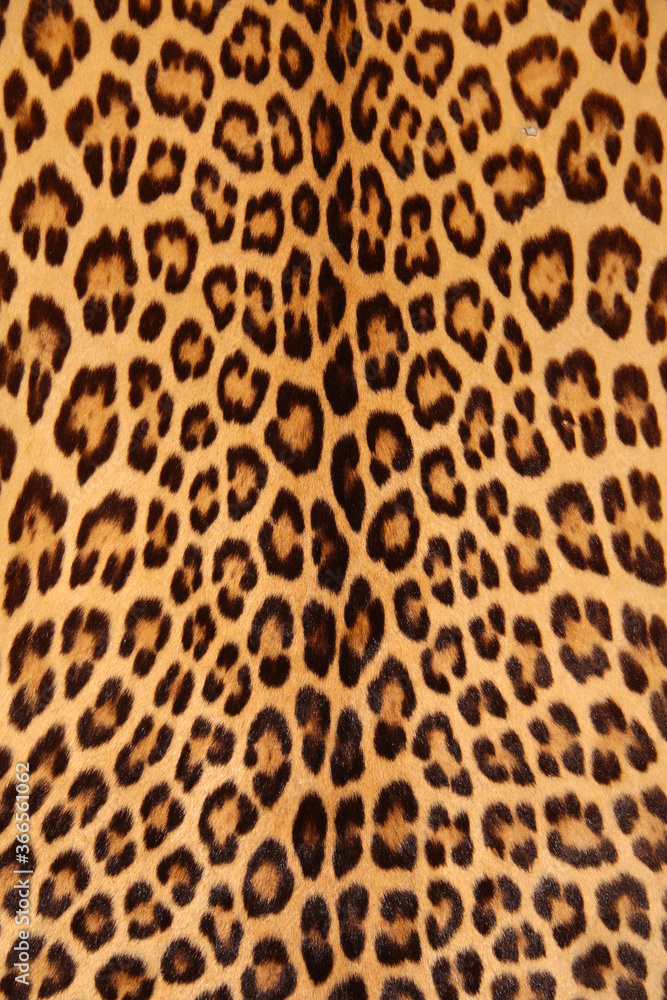 Brown spotted leopard skin background pattern. Brown spotted leopard skin background pattern.