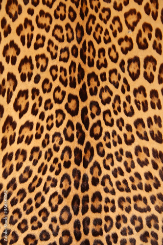 Brown spotted leopard skin background pattern.