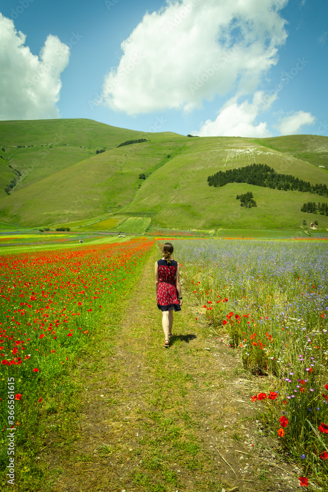 girl walks among colorful flowers in Umbria when it's flowering time - relaxing journey into Italian nature