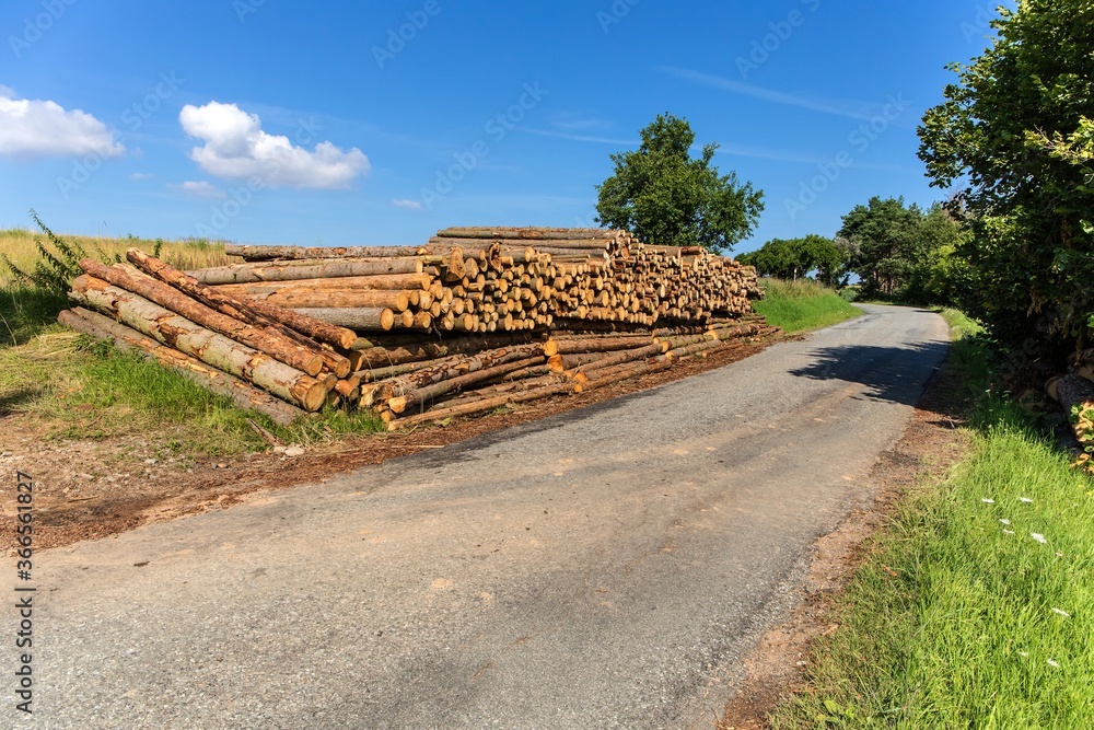 Firewood. Wall of stacked wood logs by the country road, at the edge of the forest. Pile of wooden logs stacked together on top of each other. Firewood. Wall of stacked wood logs by the country road, at the edge of the forest. Pile of wooden logs stacked together on top of each other.