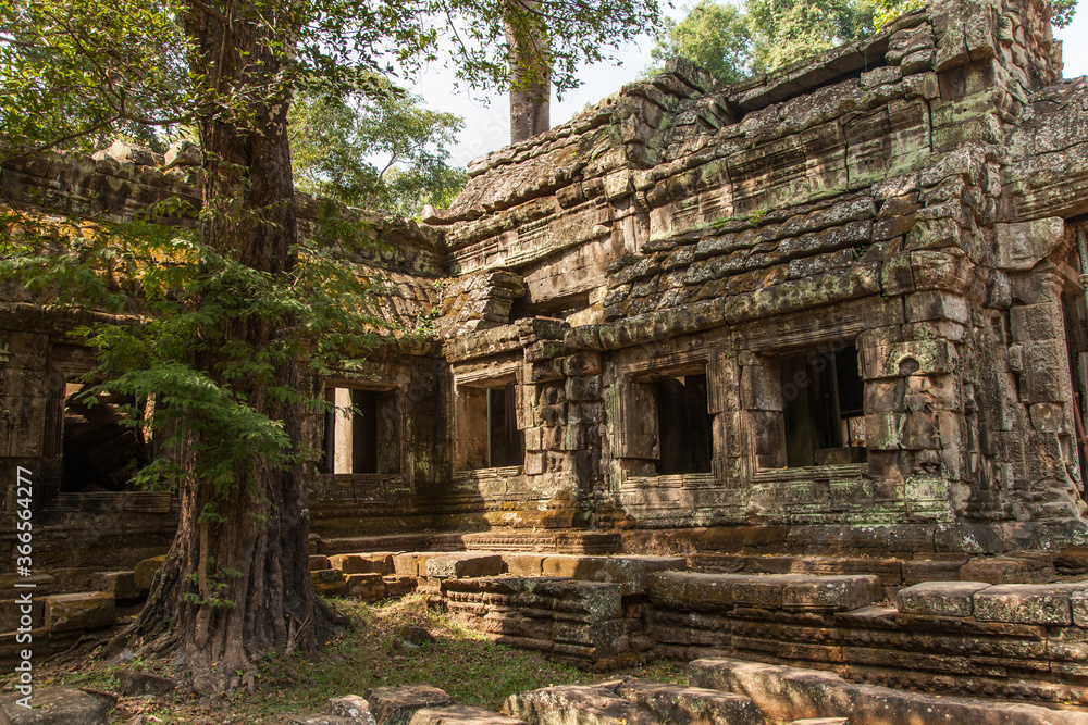 Fototapeta premium Ta Prohm, Angkor Wat, Cambodia, trees engulfing the temple structures with roots