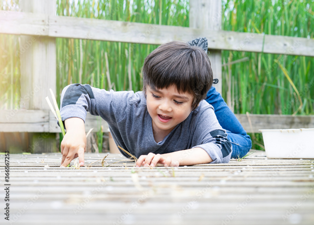 Outdoor portrait of happy boy lying on wooden bridge and looking at camera with smiling face,Active child having fun playing in wildlife park,Kid having adventure in nature reserve in sunny day summer Outdoor portrait of happy boy lying on wooden bridge and looking at camera with smiling face,Active child having fun playing in wildlife park,Kid having adventure in nature reserve in sunny day summer