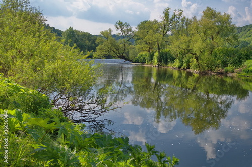 Fototapeta Naklejka Na Ścianę i Meble -  Viele grüne Bäume und Pflanzen an einem  Fluss in dem sich der blaue Himmel und die weiße Wolken wiederspiegeln und die umliegende Natur.