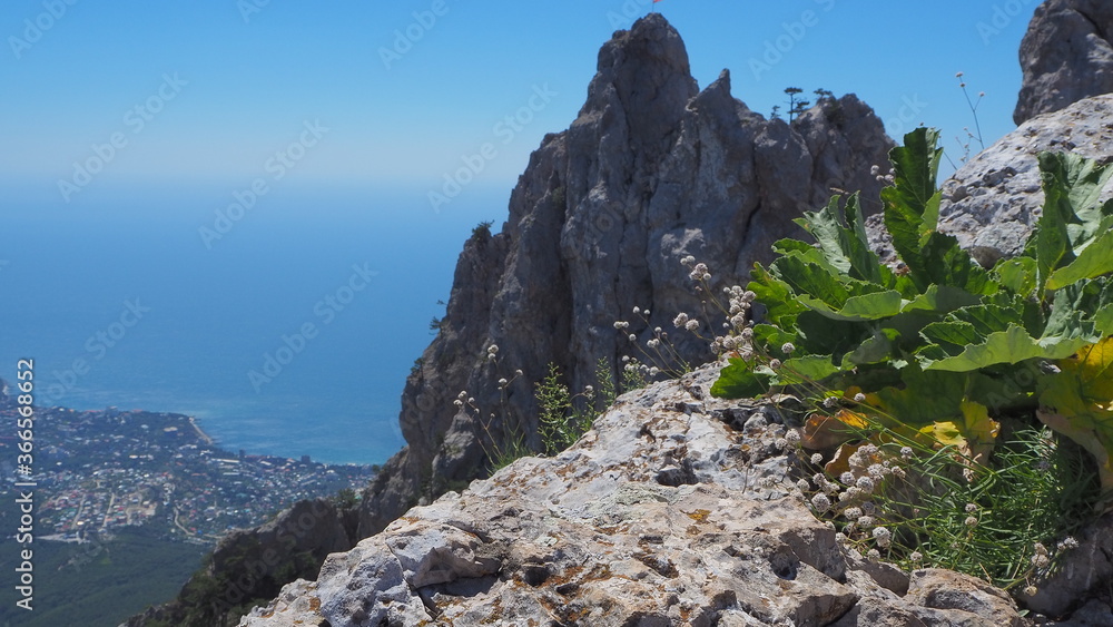 Naklejka premium OLYMPUS DIGITAL CAMERA