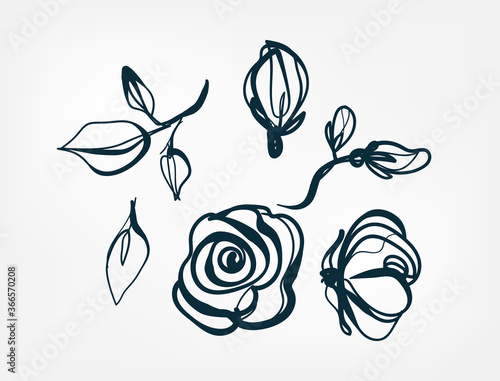 flower line one art isolated vector illustration