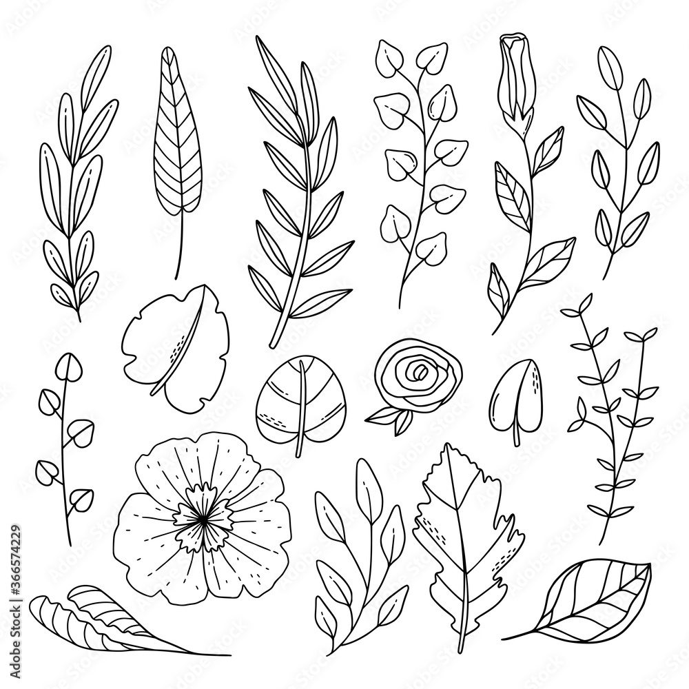 Hand drawn line art foliage and flower collection. Hand drawn line art foliage and flower collection.