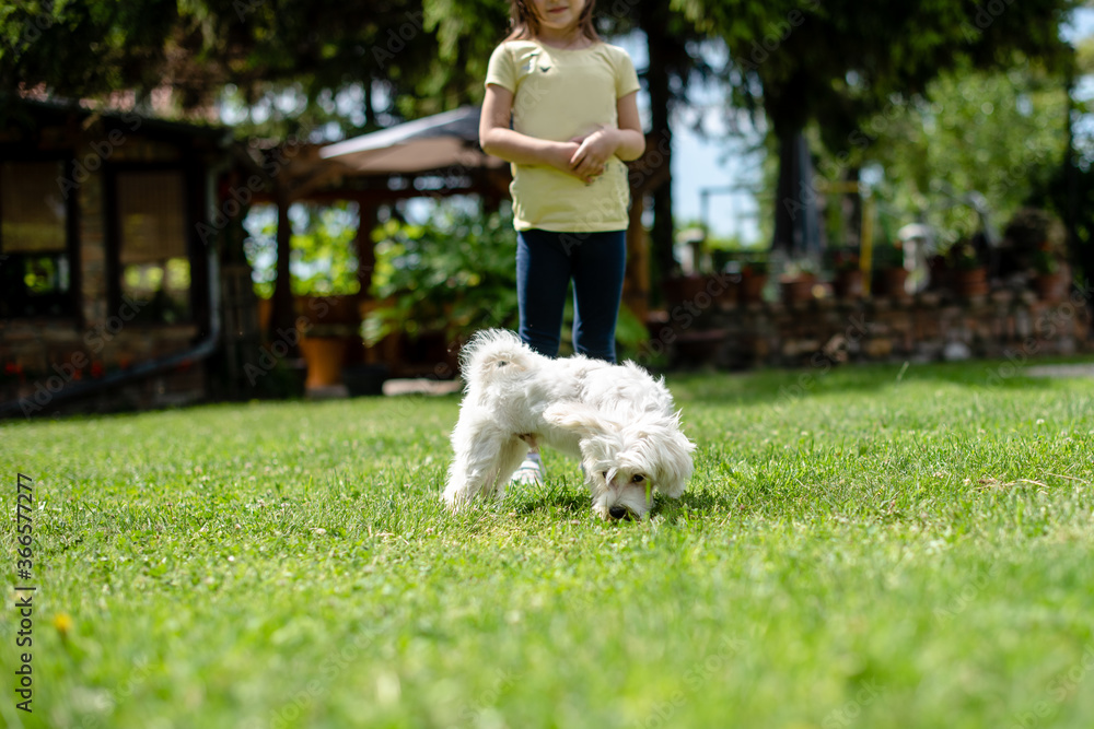 A Girl is playing with a Dog A Girl is playing with a Dog