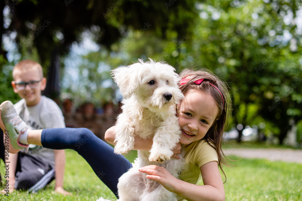 A Girl is playing with a Dog A Girl is playing with a Dog
