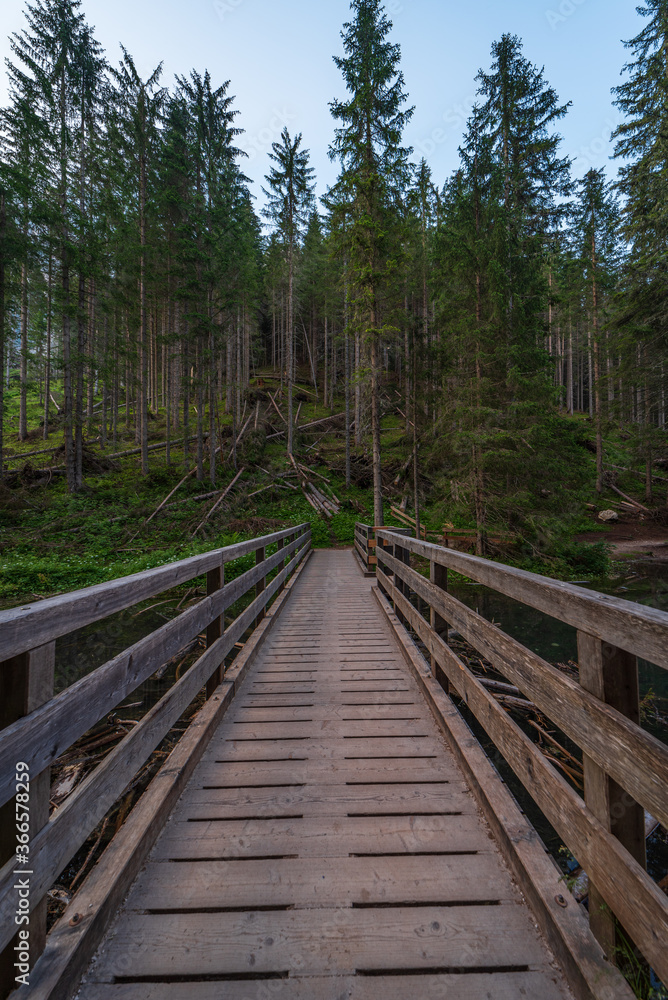 A wooden bridge leads into the green forest in South Tyrol