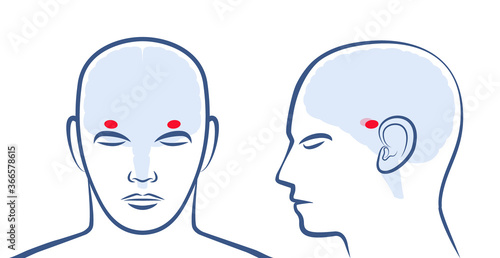 AMYGDALAE. Location of the two amigdalas in the human brain. Profile and frontal view with positions. Isolated vector graphic illustration on white background.
