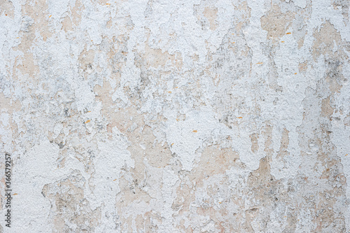 Wallpaper Mural Old wall with peeling white paint Torontodigital.ca