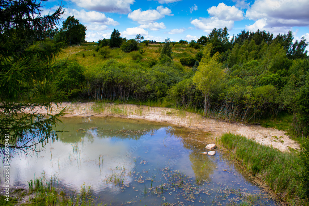 Obraz premium lake in the forest near the forest tower in Gisselfeldt, Denmark