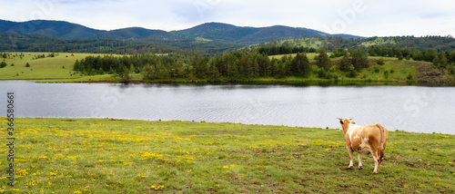 Landscape photo of a mountains and a river