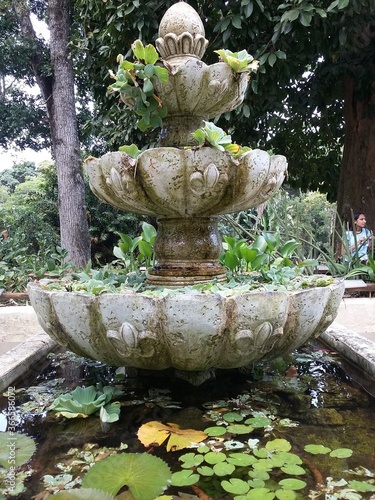 fountain in the garden