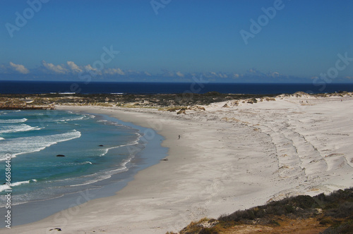 Africa- Volunteers Repairing Erosion fences on the Cape Peninsula