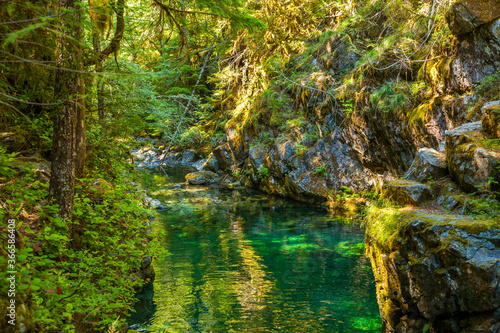 Opal Creek in the Opal Creek Wilderness.  It is a wilderness area located in the Willamette National Forest in Oregon.