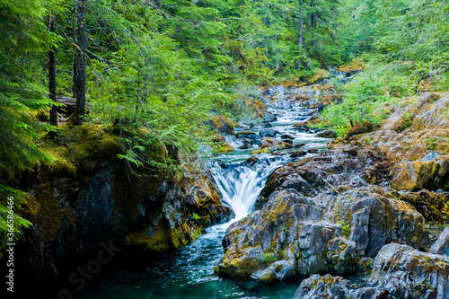 One of many waterfalls in Opal Creek. It is in the Opal Creek Wilderness, a wilderness area located in the Willamette National Forest in Oregon.