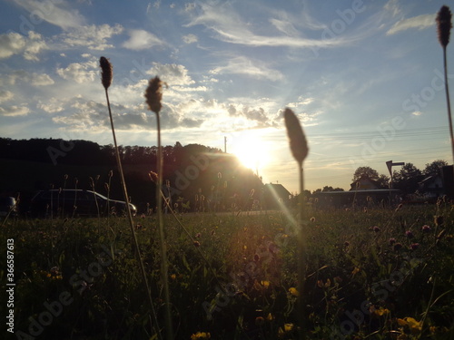 Sonne, Himmel, Wiese