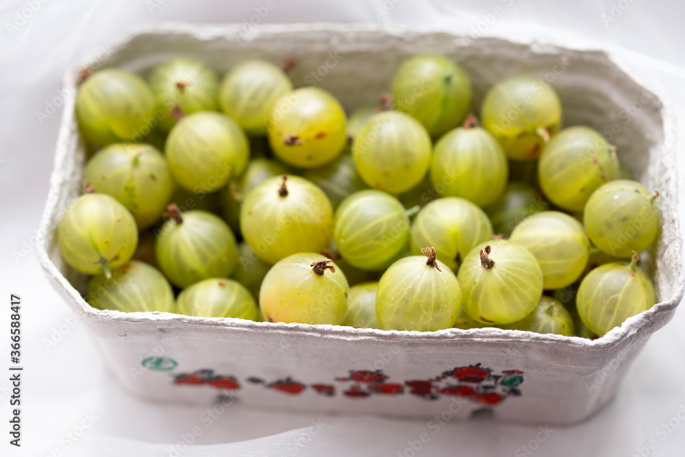 Gooseberry in cartoon punnet, daylight Gooseberry in cartoon punnet, daylight